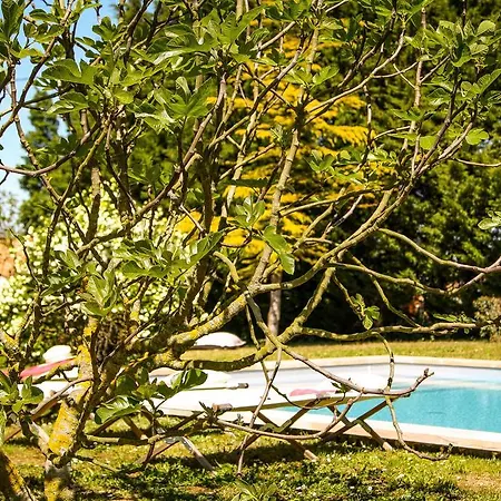 Le Clos Du Vallon Des Courances